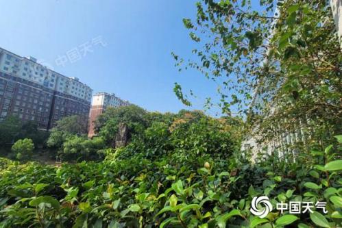 湖南明后天风雨降温齐至 国庆假期以晴主体感凉爽